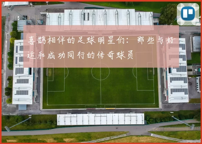 喜鹊相伴的足球明星们：那些与好运和成功同行的传奇球员