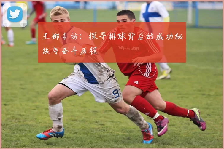 王娜专访：探寻排球背后的成功秘诀与奋斗历程