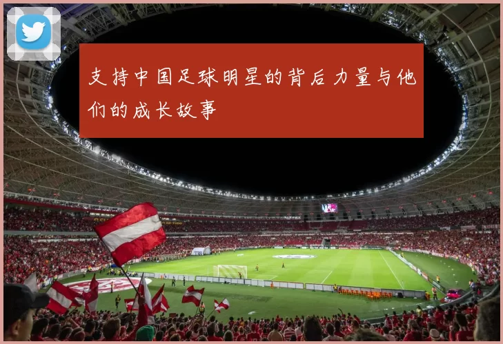 支持中国足球明星的背后力量与他们的成长故事