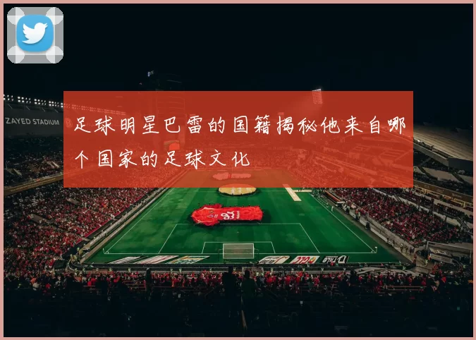 足球明星巴雷的国籍揭秘他来自哪个国家的足球文化