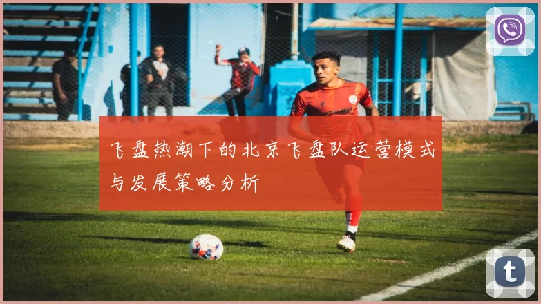 飞盘热潮下的北京飞盘队运营模式与发展策略分析