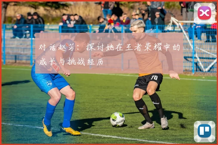 对话赵芳：探讨她在王者荣耀中的成长与挑战经历