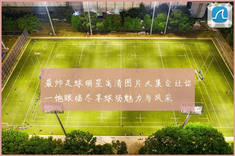 最帅足球明星高清图片大集合让你一饱眼福尽享球场魅力与风采
