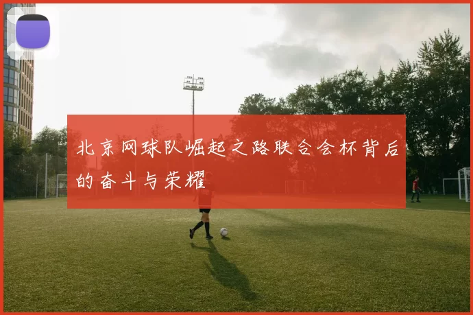 北京网球队崛起之路联合会杯背后的奋斗与荣耀