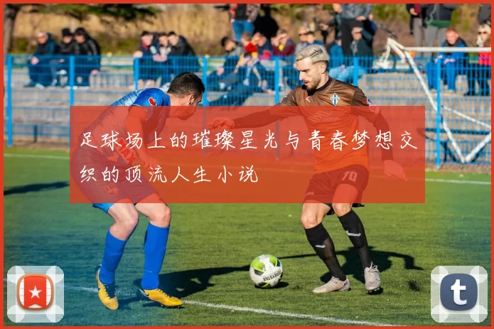 足球场上的璀璨星光与青春梦想交织的顶流人生小说