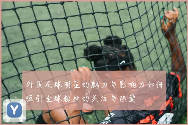 外国足球明星的魅力与影响力如何吸引全球粉丝的关注与热爱