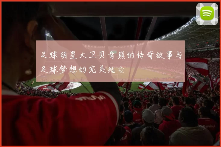 足球明星大卫贝肯熊的传奇故事与足球梦想的完美结合