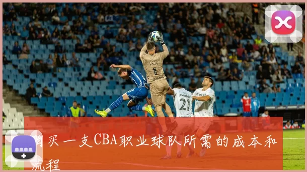 购买一支CBA职业球队所需的成本和流程