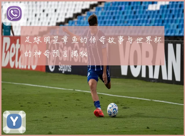 足球明星章鱼的传奇故事与世界杯的神奇预言揭秘