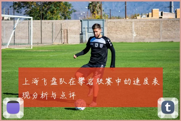 上海飞盘队在攀岩联赛中的速度表现分析与点评