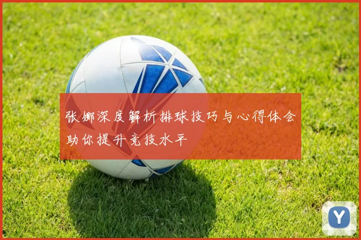 张娜深度解析排球技巧与心得体会助你提升竞技水平
