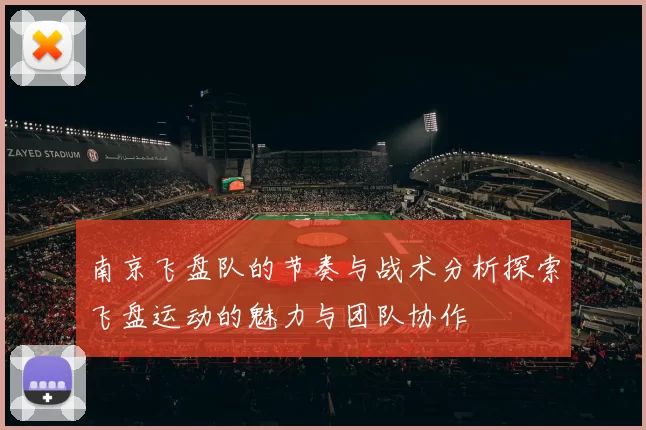 南京飞盘队的节奏与战术分析探索飞盘运动的魅力与团队协作