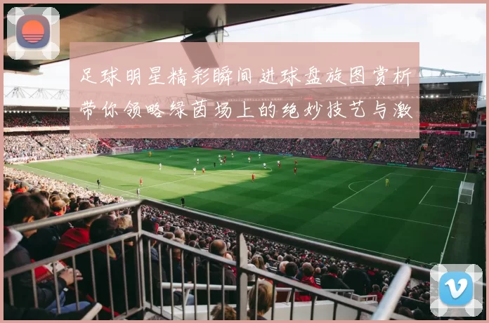 足球明星精彩瞬间进球盘旋图赏析带你领略绿茵场上的绝妙技艺与激情