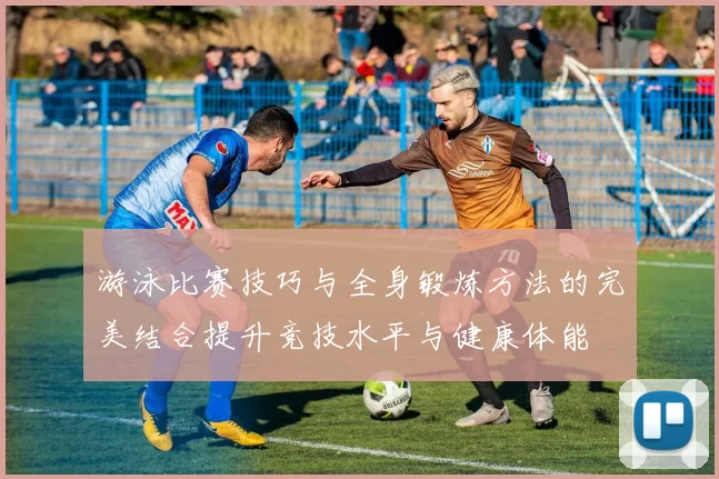 游泳比赛技巧与全身锻炼方法的完美结合提升竞技水平与健康体能