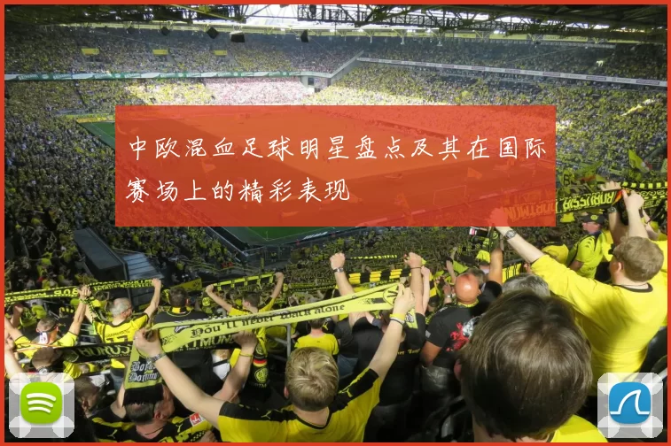 中欧混血足球明星盘点及其在国际赛场上的精彩表现