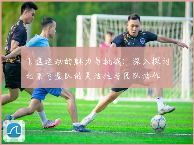 飞盘运动的魅力与挑战：深入探讨北京飞盘队的灵活性与团队协作