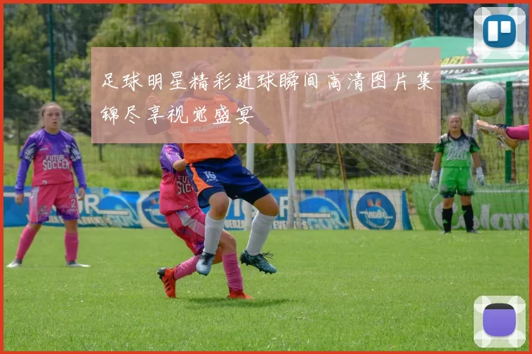足球明星精彩进球瞬间高清图片集锦尽享视觉盛宴