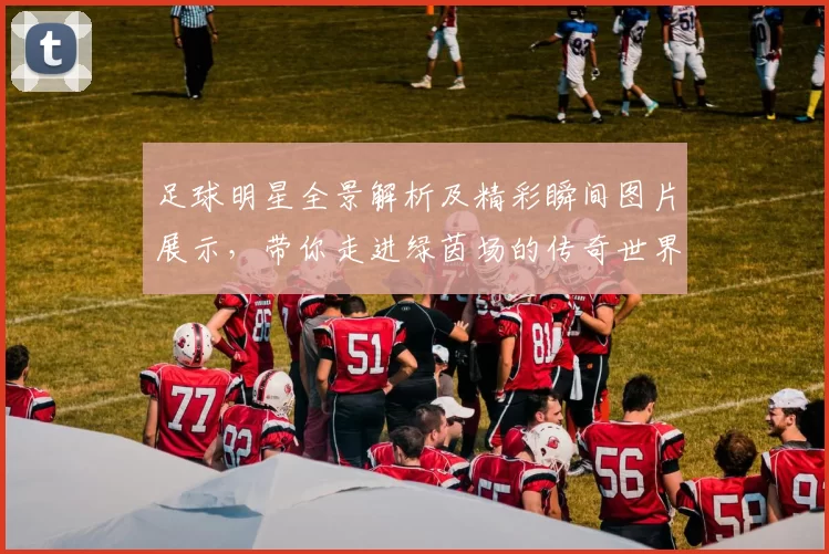 足球明星全景解析及精彩瞬间图片展示，带你走进绿茵场的传奇世界