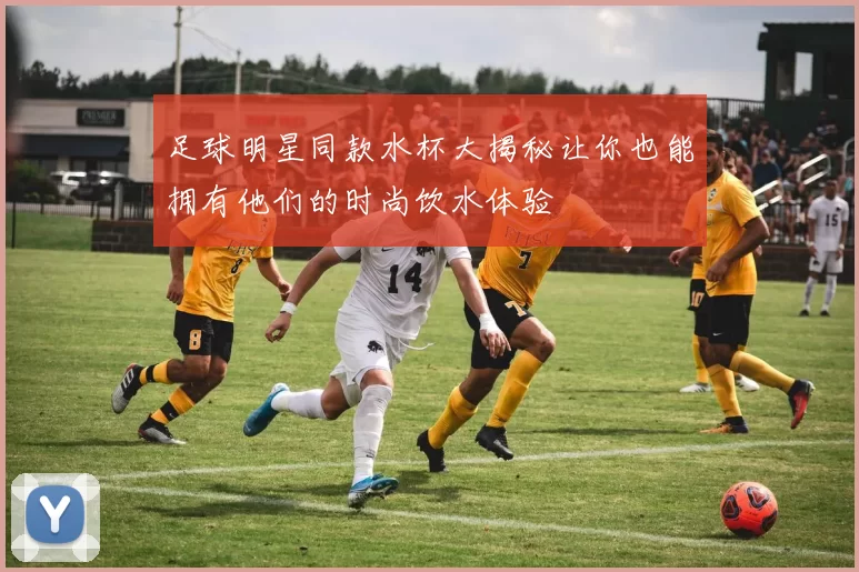 足球明星同款水杯大揭秘让你也能拥有他们的时尚饮水体验