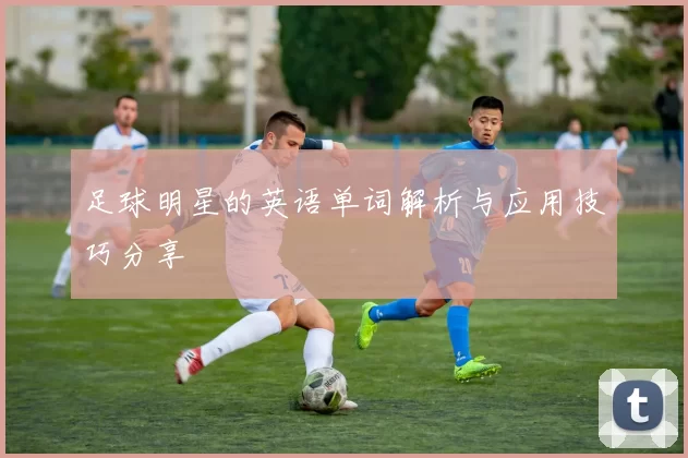 足球明星的英语单词解析与应用技巧分享