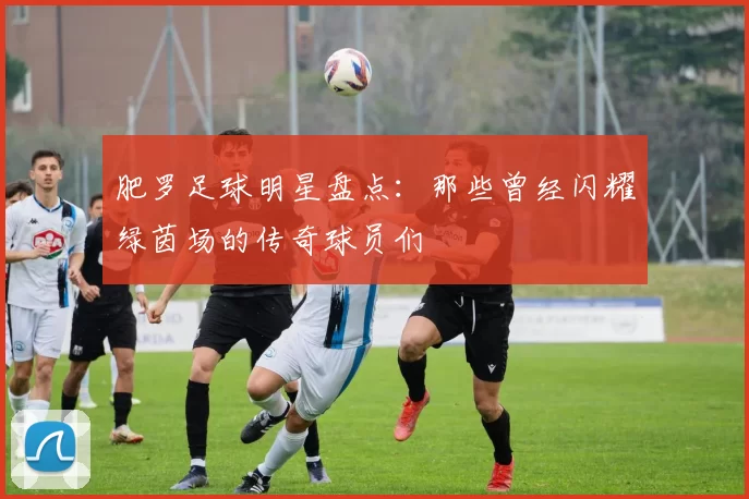 肥罗足球明星盘点：那些曾经闪耀绿茵场的传奇球员们