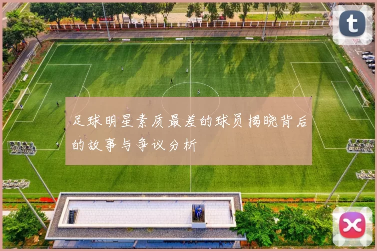 足球明星素质最差的球员揭晓背后的故事与争议分析