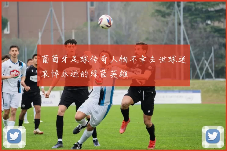 葡萄牙足球传奇人物不幸去世球迷哀悼永远的绿茵英雄